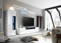 Glossy living rooms in a modern style photo