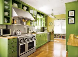 Color combination in the kitchen interior olive