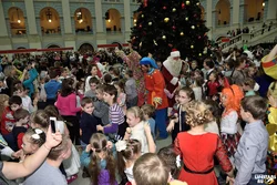 Photo from the Christmas tree in the guest yard