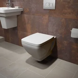 Wall-hung toilet in the bathroom interior