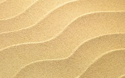 Kitchen sand photo