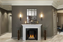Living room interior with black fireplace