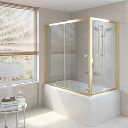 Sliding screens for bathtubs photo