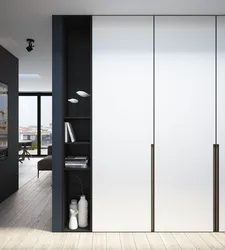 Design Of Hinged Wardrobes In The Living Room Photo