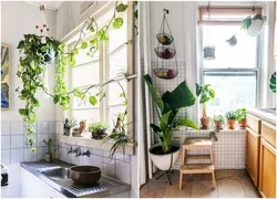 Flower In The Kitchen Interior