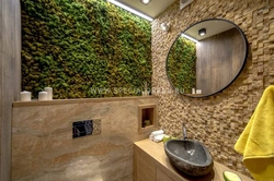 Stabilized Moss In The Bathroom Interior