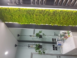 Stabilized moss in the bathroom interior