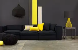 Combination of black color in the living room interior