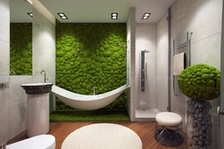 Moss In The Bathroom Interior Photo