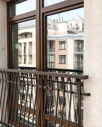 What a French balcony looks like photo in an apartment