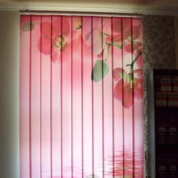 Vertical fabric blinds photo in the kitchen