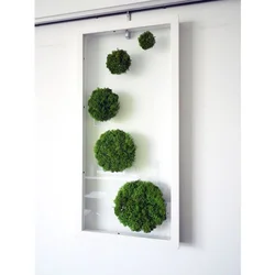 Moss Design In The Kitchen