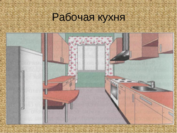 Kitchen interior for work