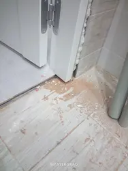 Bathroom doors with threshold photo
