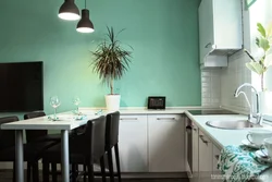Покраска кухни в два цвета фото