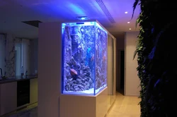Hallway design with aquarium