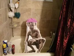 Bathroom photo meme