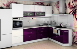 Дизайн кухни цвета фасадов фото
