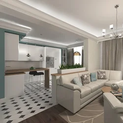 Kitchen living room design with sofa in the middle