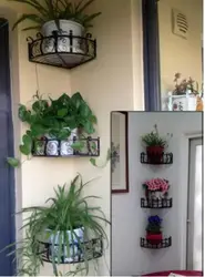Flower Shelf For The Kitchen Photo