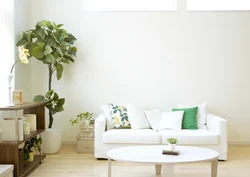 Living room interior background