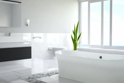 Photo of a bathroom on a white background