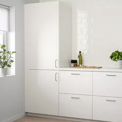 White Kitchen In The Interior Reviews