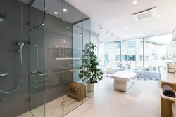 Glass In Bathtub Interiors