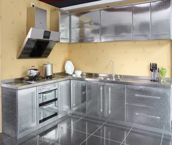 Kitchens with metal facades photos