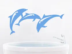 Дельфин Ваннасының Дизайны